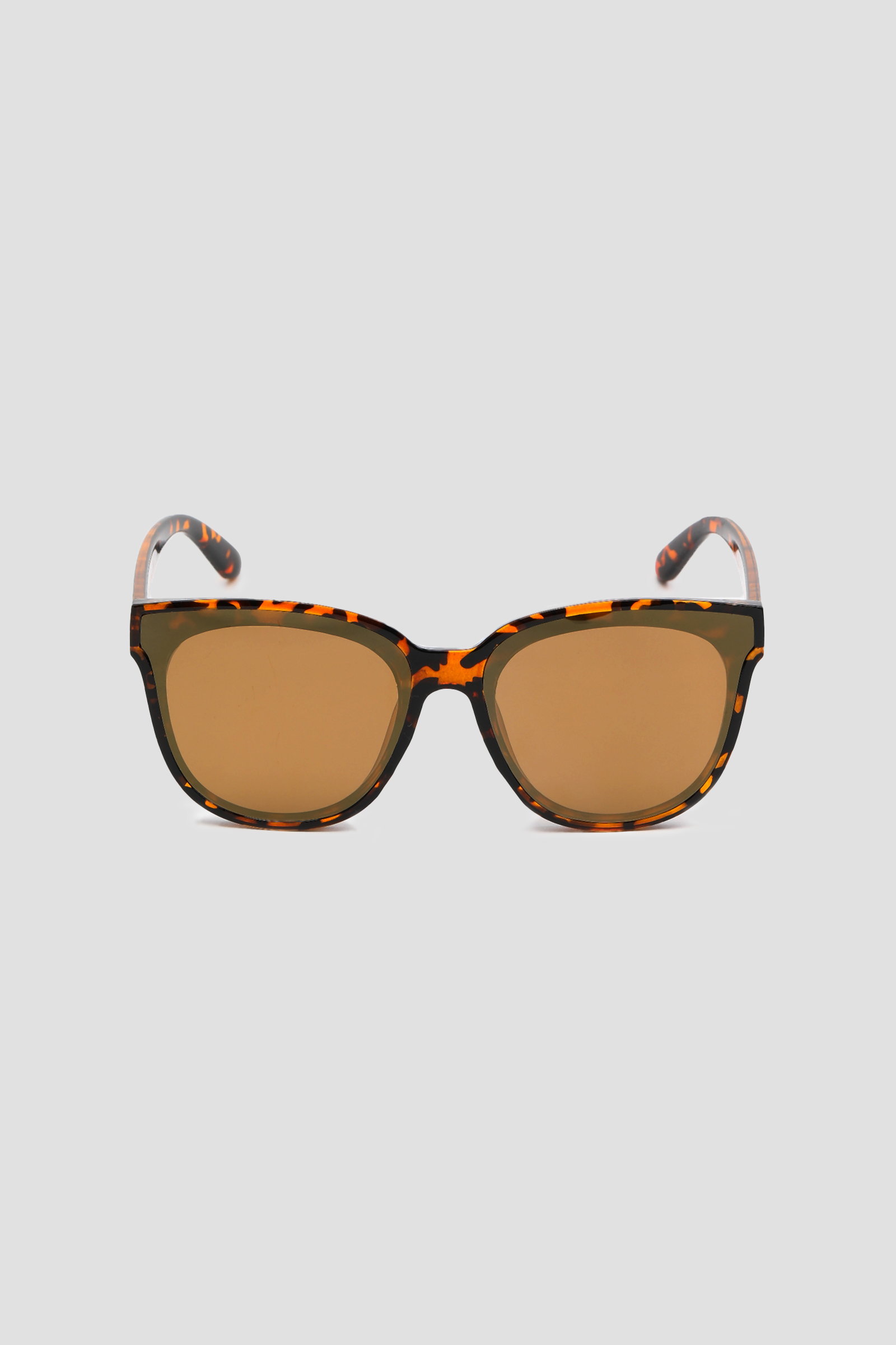 Ardene Tortoiseshell Wayfarer Sunglasses in Brown